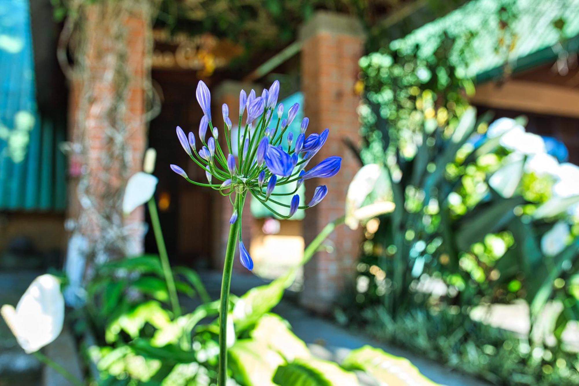 Hotel Villa Zurqui San Isidro  Ngoại thất bức ảnh